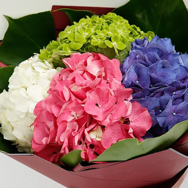 Beautiful 4-Color Hydrangea Bouquet: A Symphony of Elegance